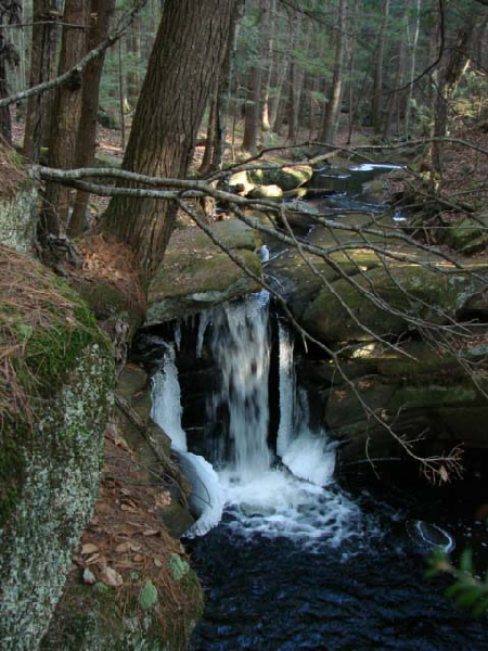 Small waterfall in woods